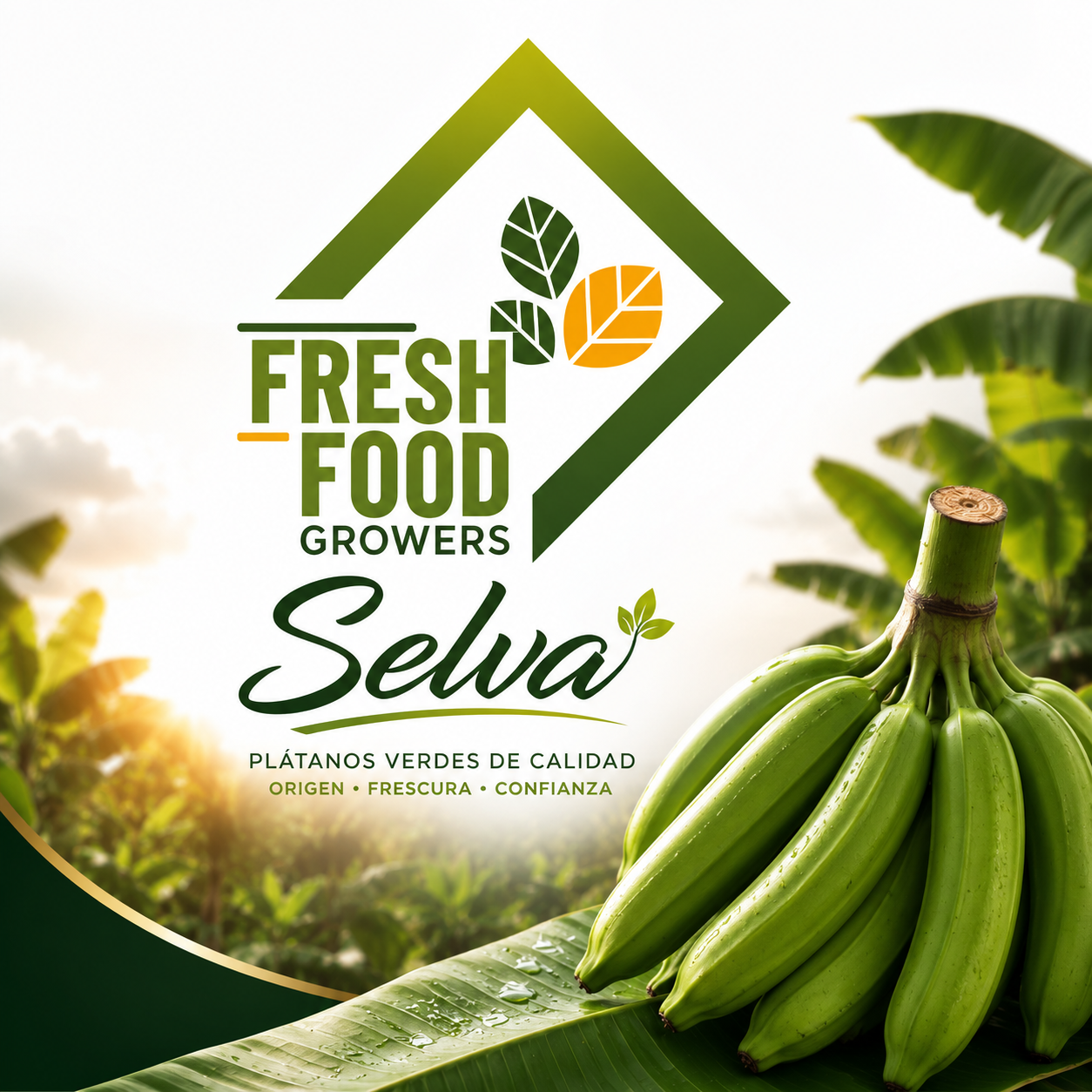 Selva export boxes and plantains